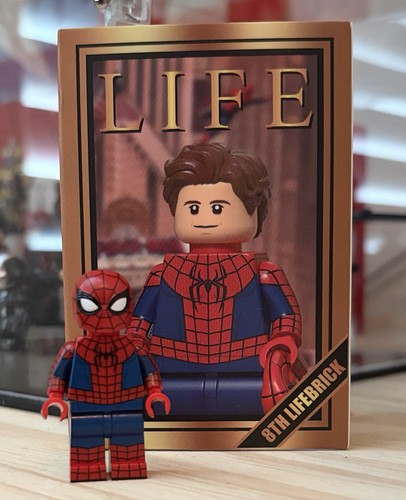 Lifebrick personalizzato lego - lifebrick,